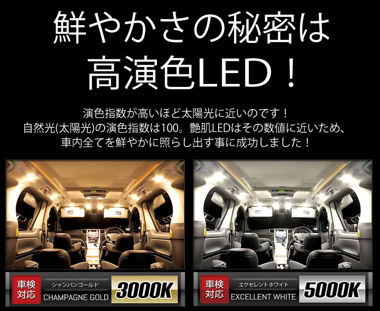 �N�₩���̔閧�͍����FLED